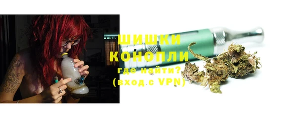 мдпв Александровское