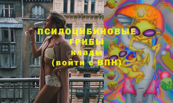 амф Аша